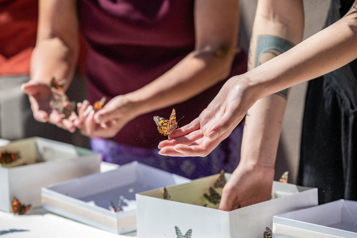 Close-up of hands sharing a handful of seeds