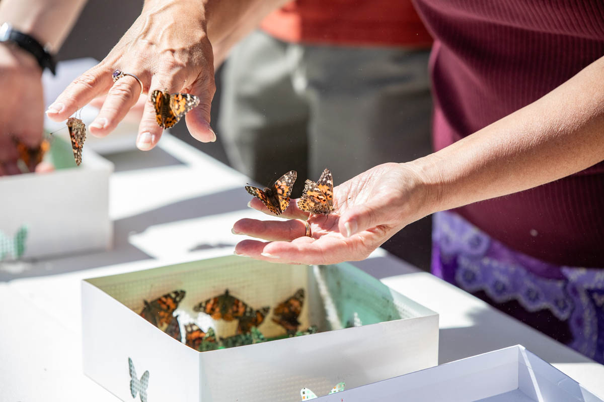 Hands cupping seeds during a planting demonstration