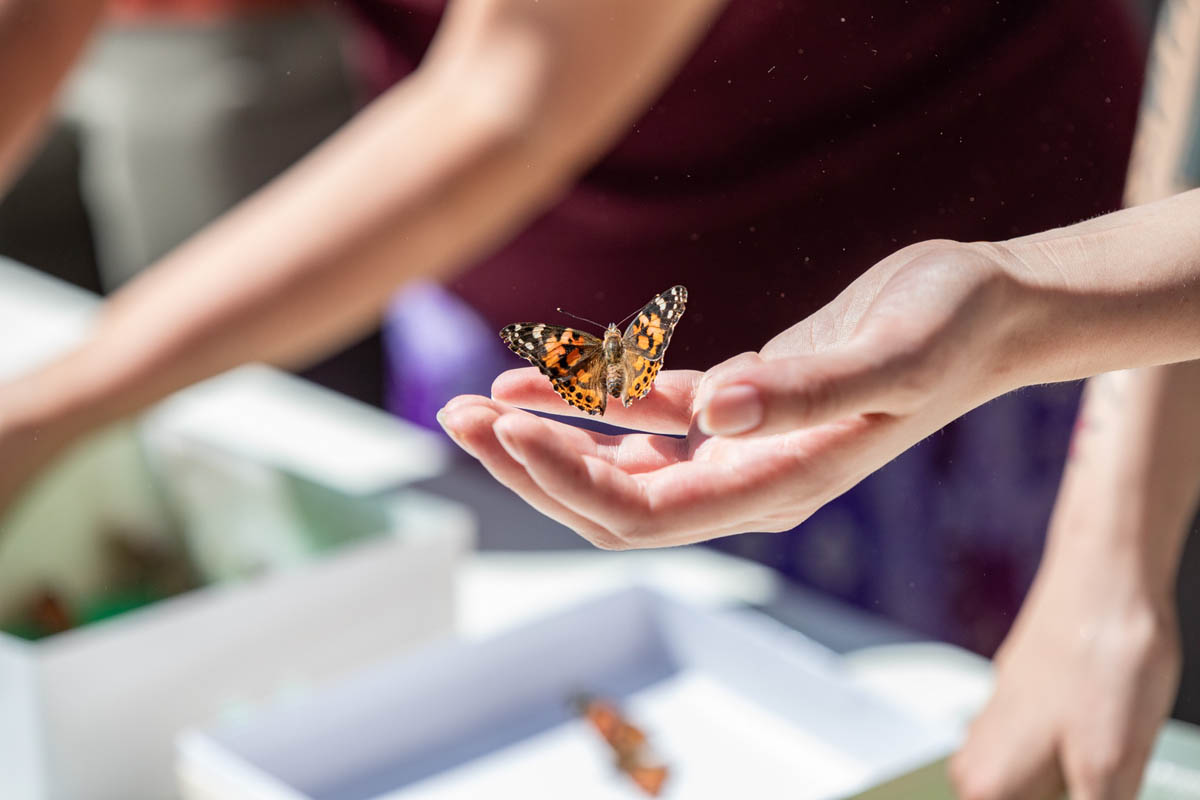 A volunteer passing seeds to a participant