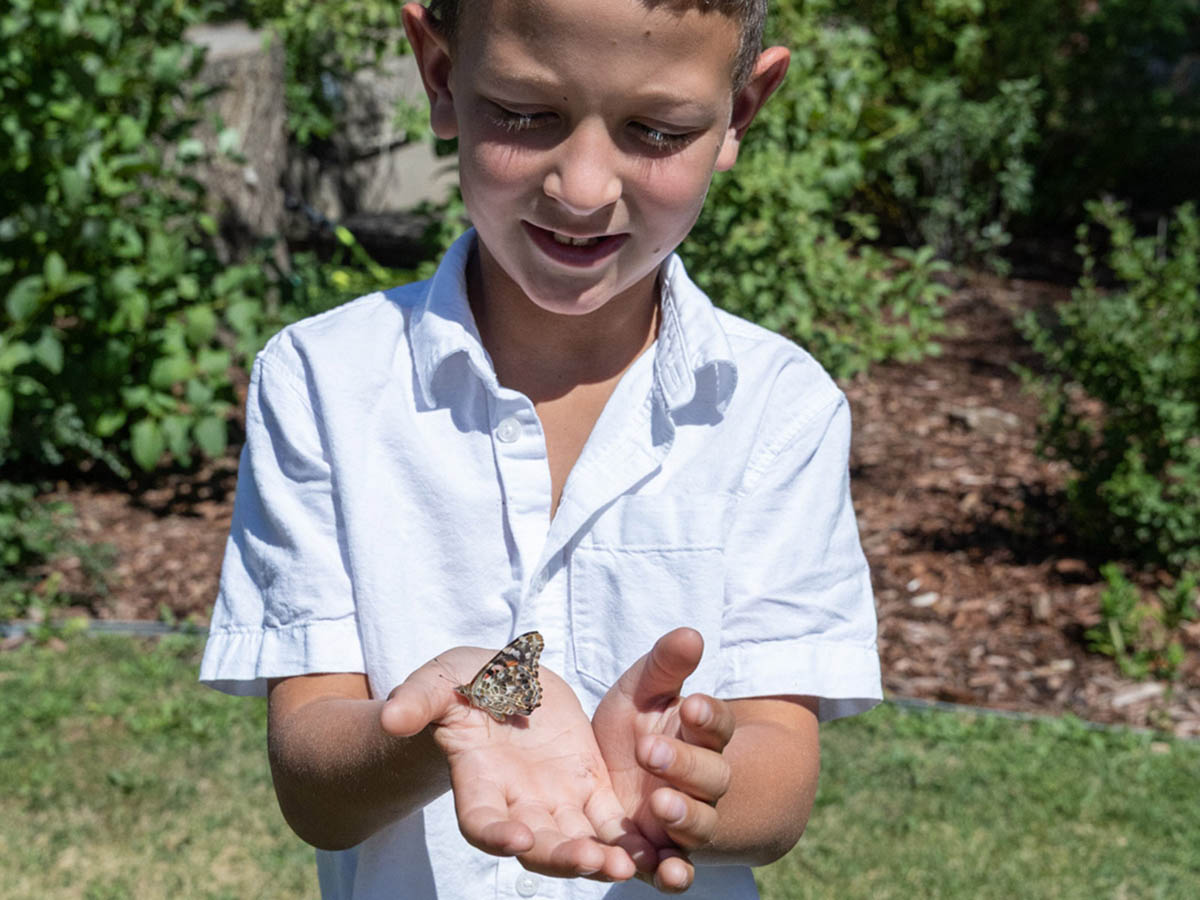 A smiling boy cupping seeds in his hands in the garden